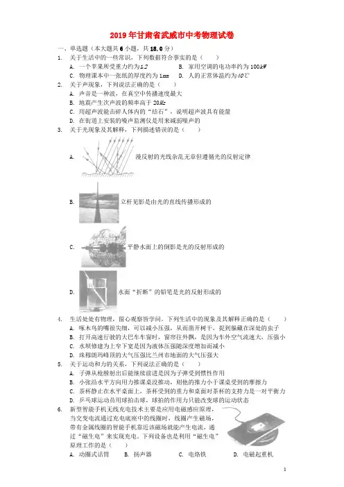 甘肃省武威市2019年中考物理真题试题(含解析)