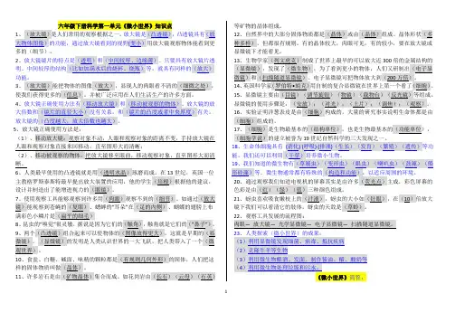 教科版六年级下册科学知识点