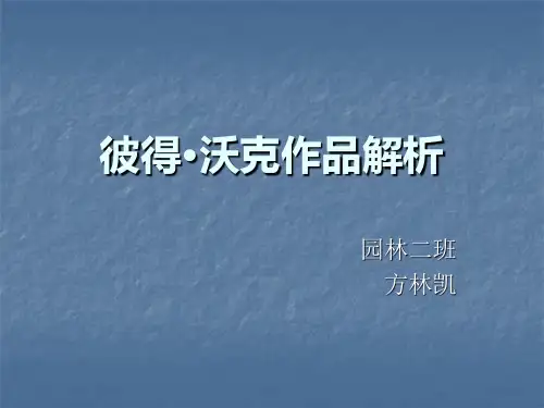 彼得·沃克作品评析