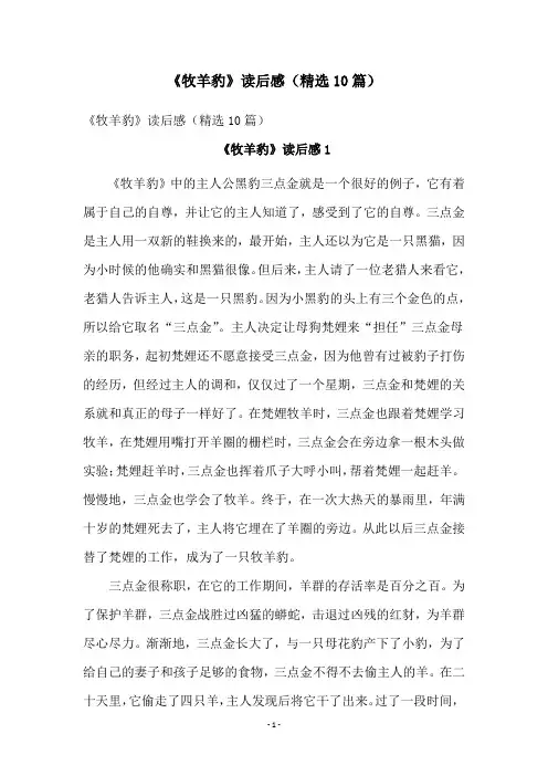 《牧羊豹》读后感(精选10篇)