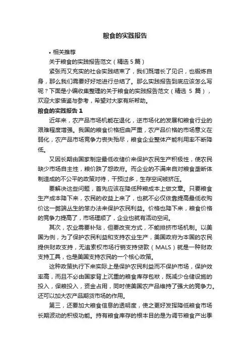 粮食的实践报告