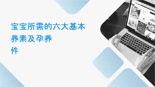 宝宝所需的六大基本营养素及孕产妇营养课件