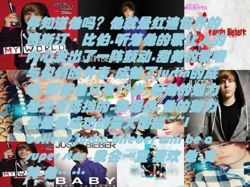 justin bieber资料