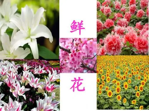 三年级上册音乐课件-第六单元《对鲜花》｜人教新课标