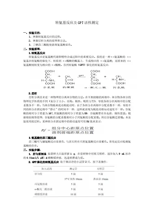 转氨基反应及GPT活性测定