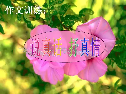 【初中】苏教版七年级语文上册写作说真话抒真情课件