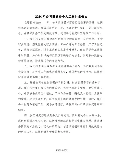 2024年公司财务处个人工作计划例文（五篇）