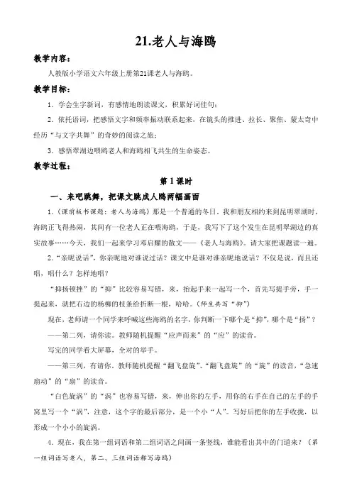 21.老人与海鸥