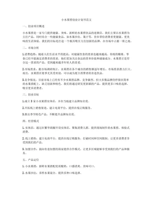 小水果捞创业计划书范文