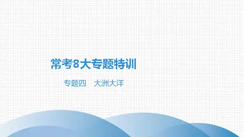 最新人教版中考地理总复习常考专题特训专题四 大洲大洋