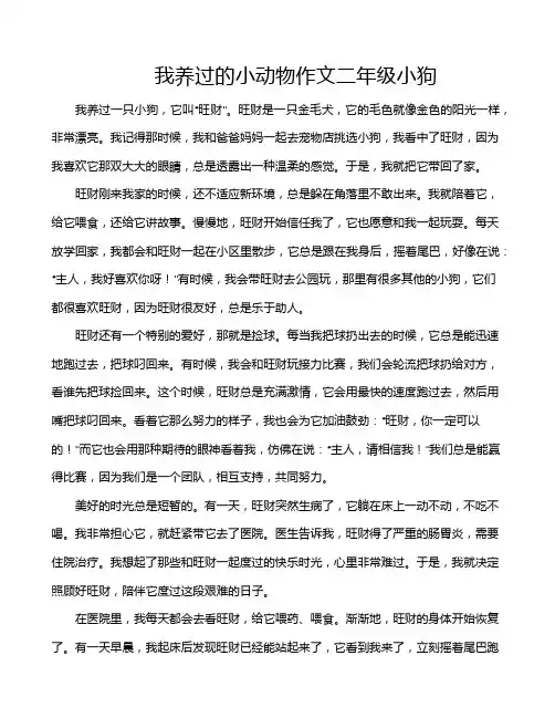 我养过的小动物作文二年级小狗