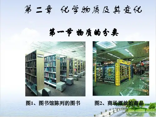 人教版化学必修一物质的分类课件35张