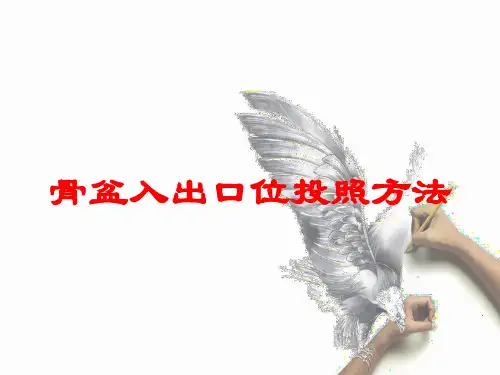 骨盆入出口位投照方法培训课件
