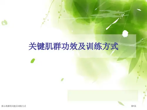 核心肌群的功能及训练方式