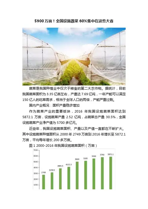 5900万亩！全国设施蔬菜60%集中在这些大省