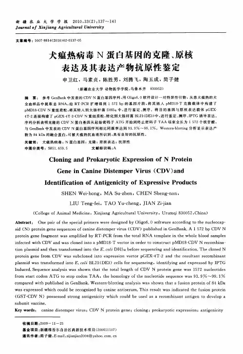 犬瘟热病毒N蛋白基因的克隆、原核表达及其表达产物抗原性鉴定