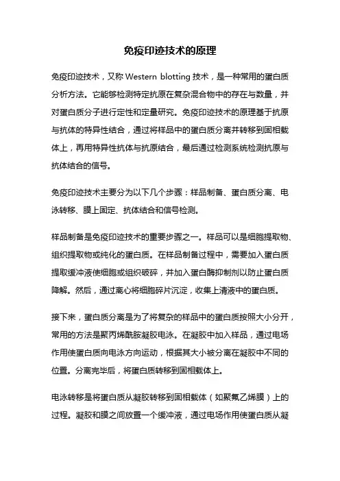 免疫印迹技术的原理