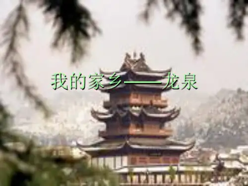 我的家乡——龙泉