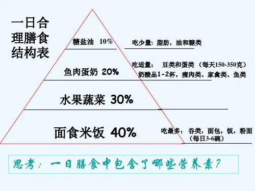 九级科学上册《第四章代谢与平衡》复习课件浙教版