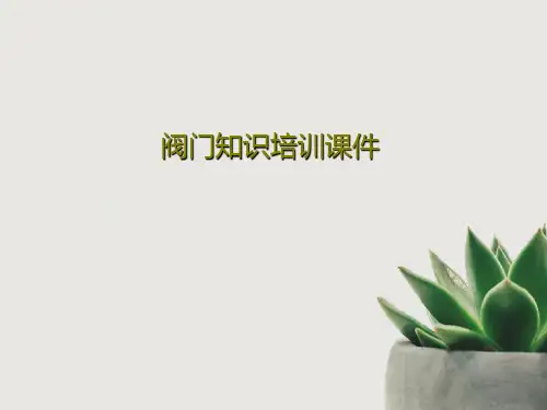 阀门知识培训课件共49页文档