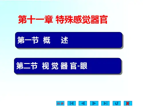 解剖生理学第第11章 特殊感觉器官的解剖与生理