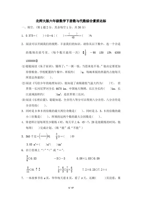 北师大版六年级数学下册总复习数与代数综合素质达标 附答案