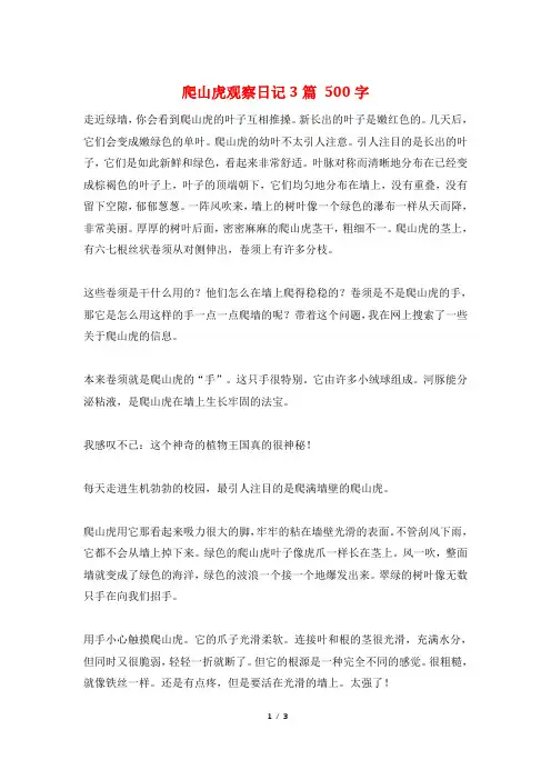 爬山虎观察日记3篇 500字