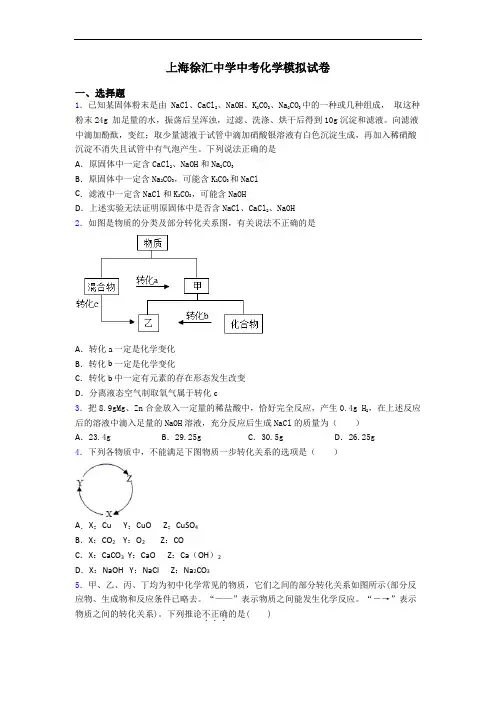 上海徐汇中学中考化学模拟试卷