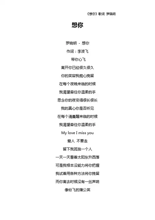 《想你》歌词 罗晓明