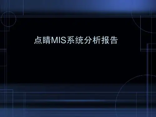 点睛MIS系统分析报告
