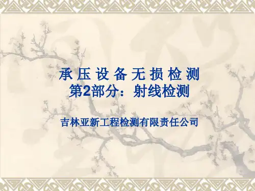 RT标准讲解