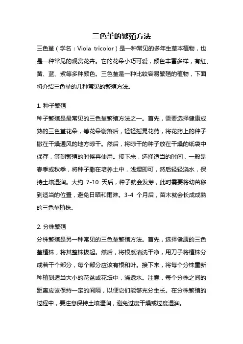 三色堇的繁殖方法