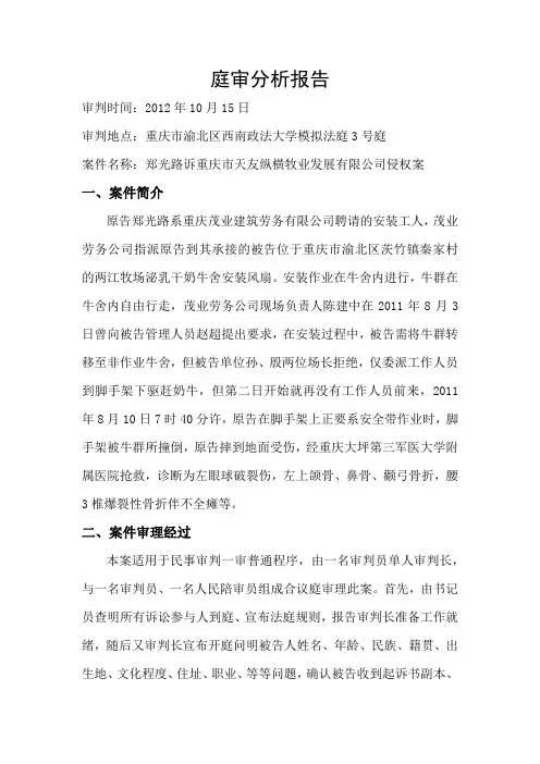 庭审分析报告