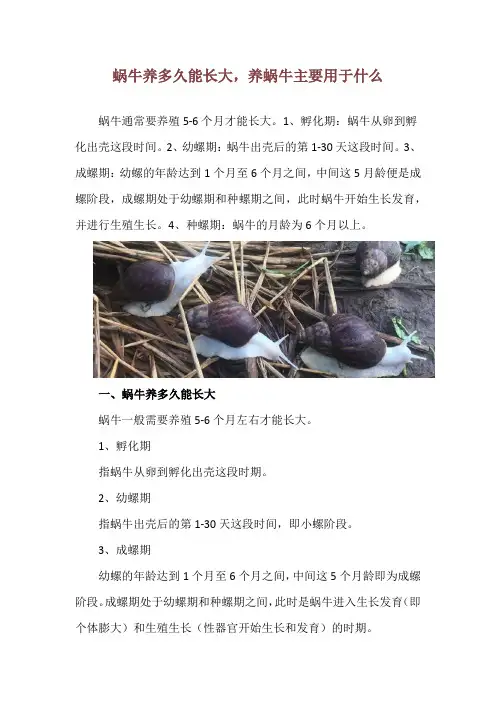 蜗牛养多久能长大,养蜗牛主要用于什么