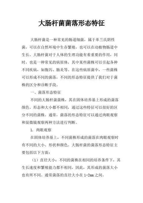 大肠杆菌菌落形态特征