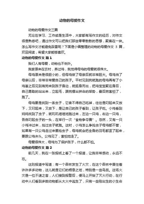 动物的母爱作文三篇