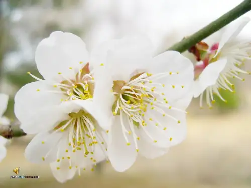 三间色与三原色