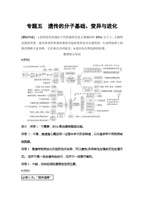 高考二轮复习遗传的分子基础变异与进化教案山东版