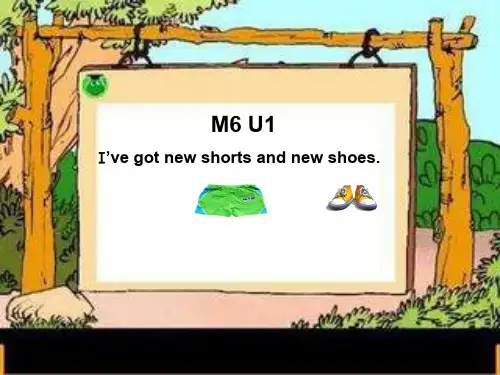 Module 6《Unit 1 I’ve got new shorts and new shoes》ppt课件1