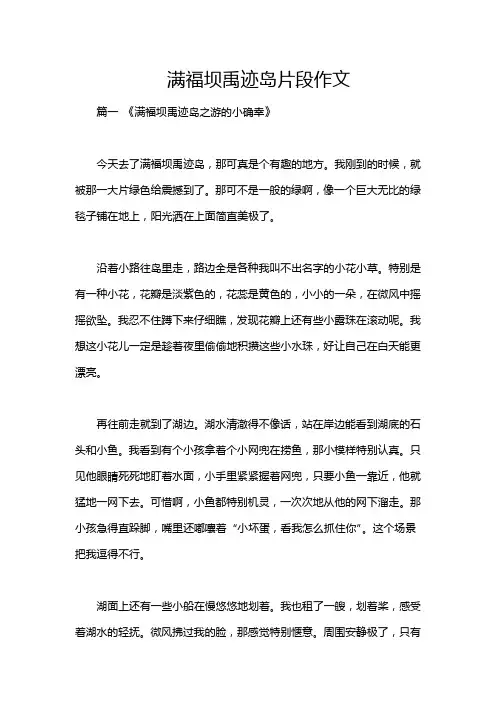 满福坝禹迹岛片段作文