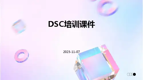 DSC培训课件