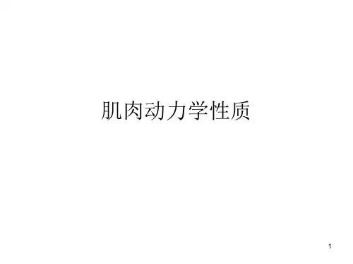 肌肉力学性质
