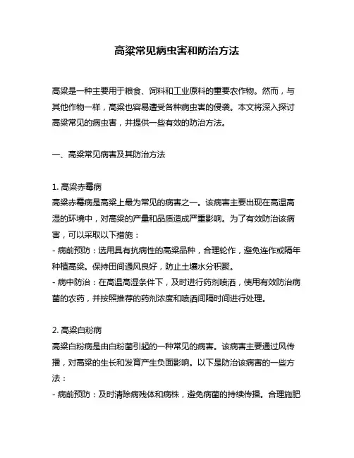 高粱常见病虫害和防治方法