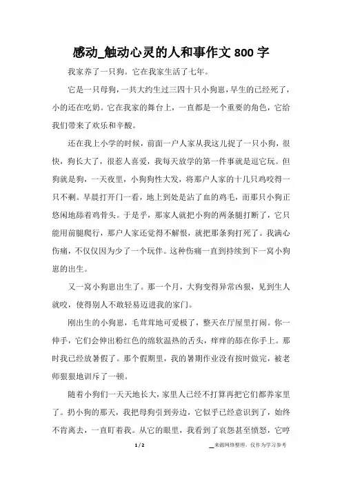 感动_触动心灵的人和事作文800字