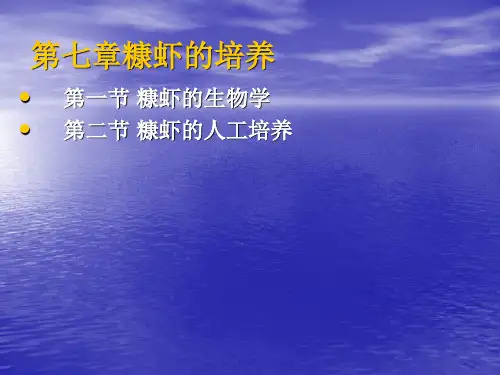 第七章糠虾的培养汇总