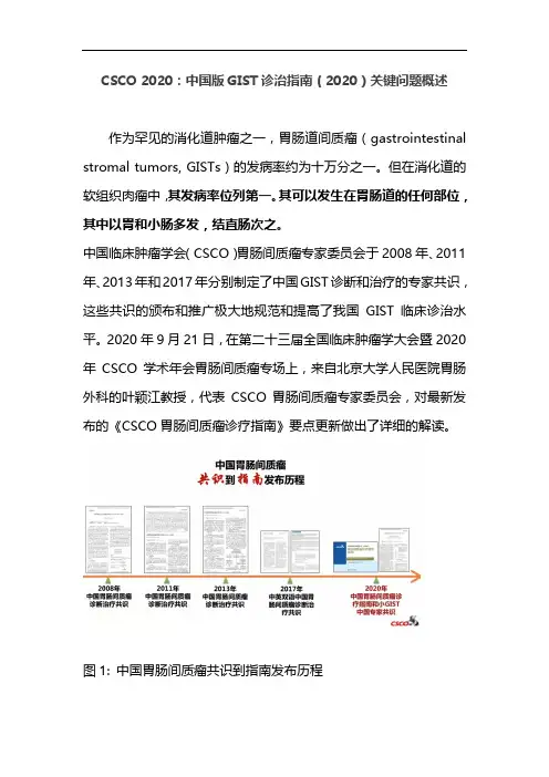 CSCO 2020：中国版GIST诊治指南(2020)关键问题概述