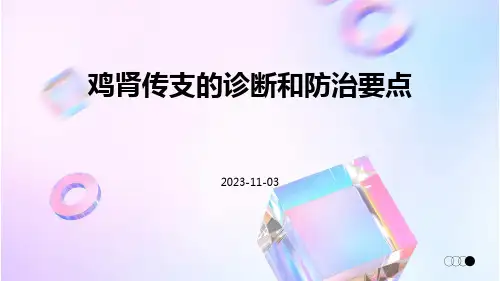 鸡肾传支的诊断和防治要点