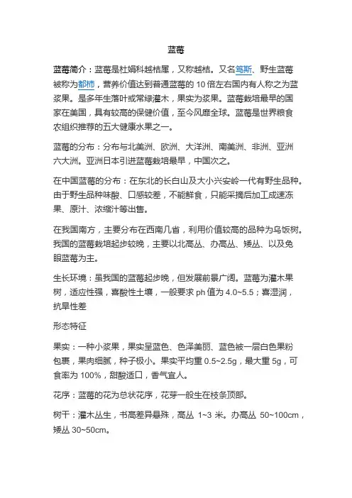 蓝莓