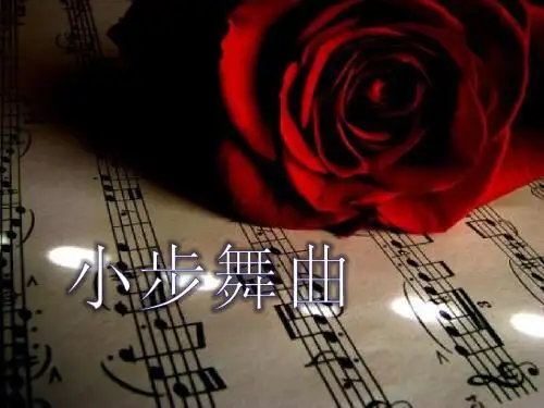 《小步舞曲》ppt实用课件3