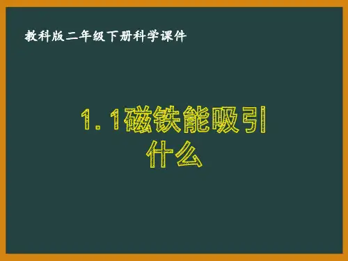 二年级科学下册教科版全册全部课件(共13课时)
